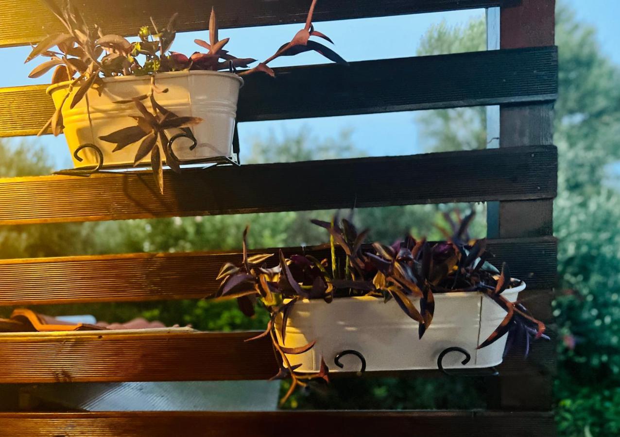 Anastasias Cottage 네아 이라클리아 외부 사진